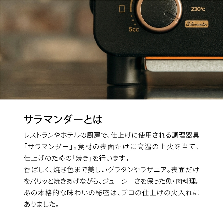 BALMUDA バルミューダ トースター プロ 最上位モデル BALMUDA The Toaster Pro K11A-SE Proモデル