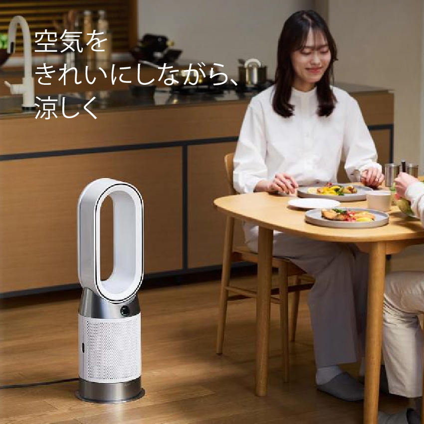 Dyson HP10 WW