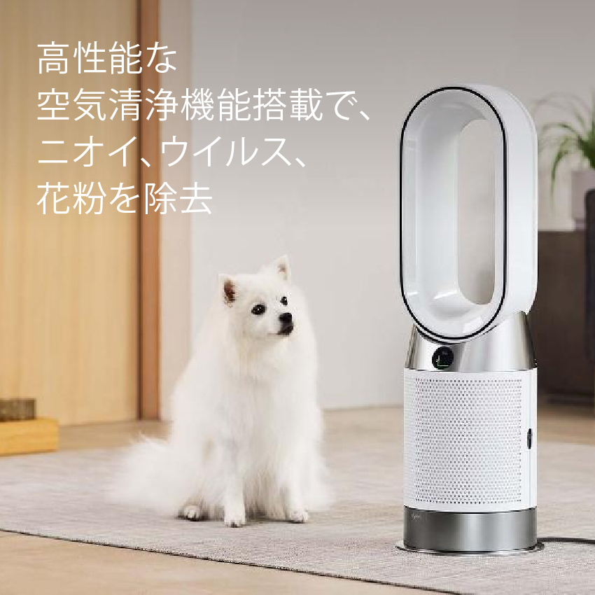 Dyson HP10 WW