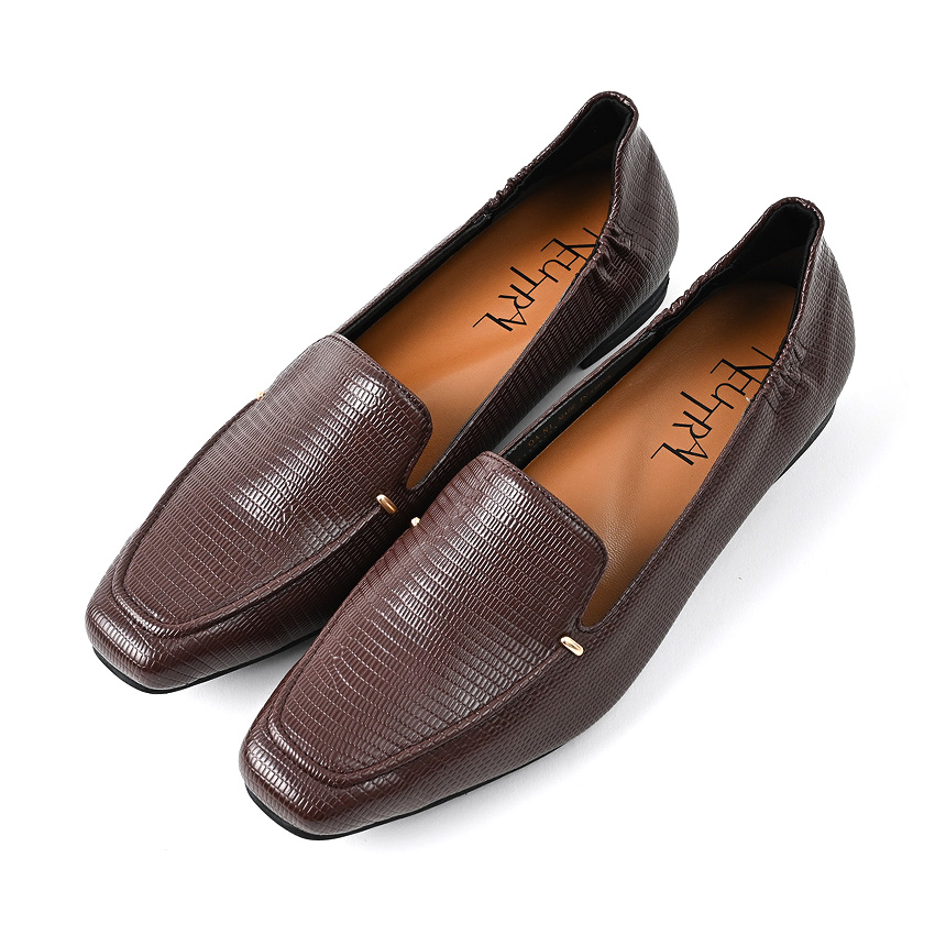 ダークブラウンリザード