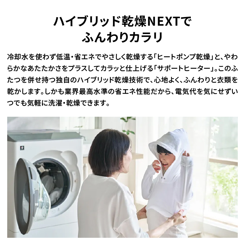 ドラム式洗濯乾燥機 ES-12X1