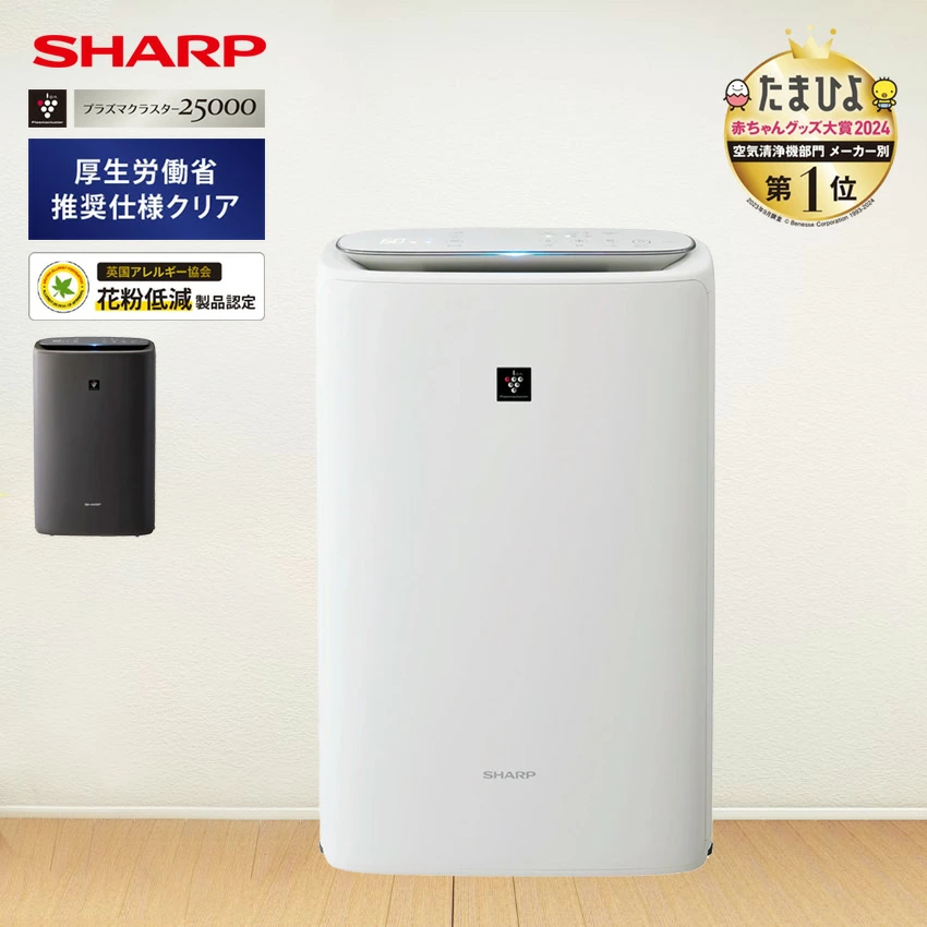 KI-TS50-H シャープ 加湿空気清浄機 グレー //【在庫あり：当日～4日以内での発送】