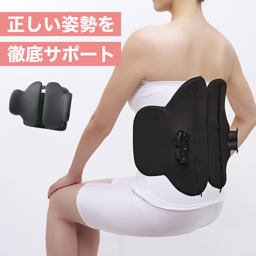 ボディカルテ 腰楽座サポートプレート クッション // 【取り寄せ品：翌日～2週間ほど】